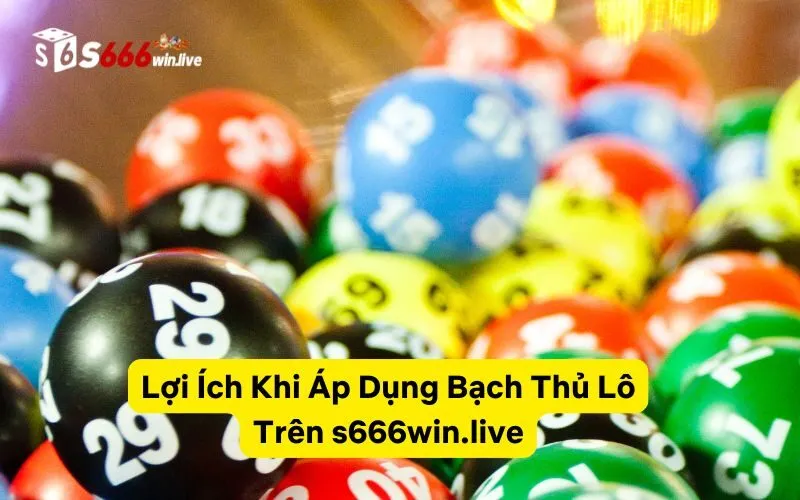 Lợi Ích Khi Áp Dụng Bạch Thủ Lô Trên healdton.us.com